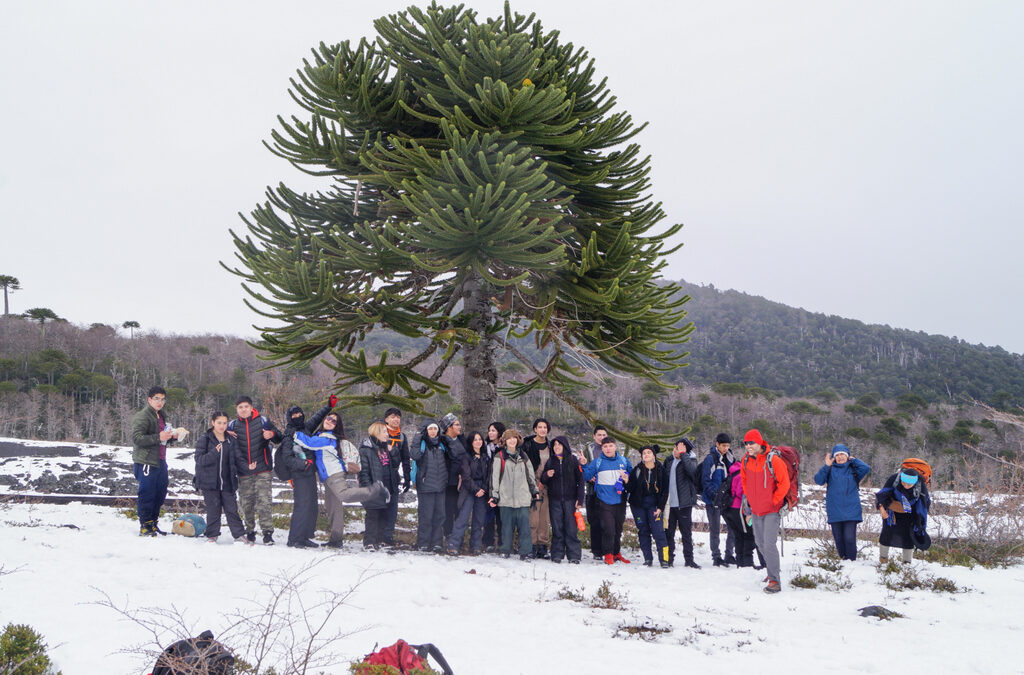 Salida a «Ruka-Pillán» Especialidad de Turismo
