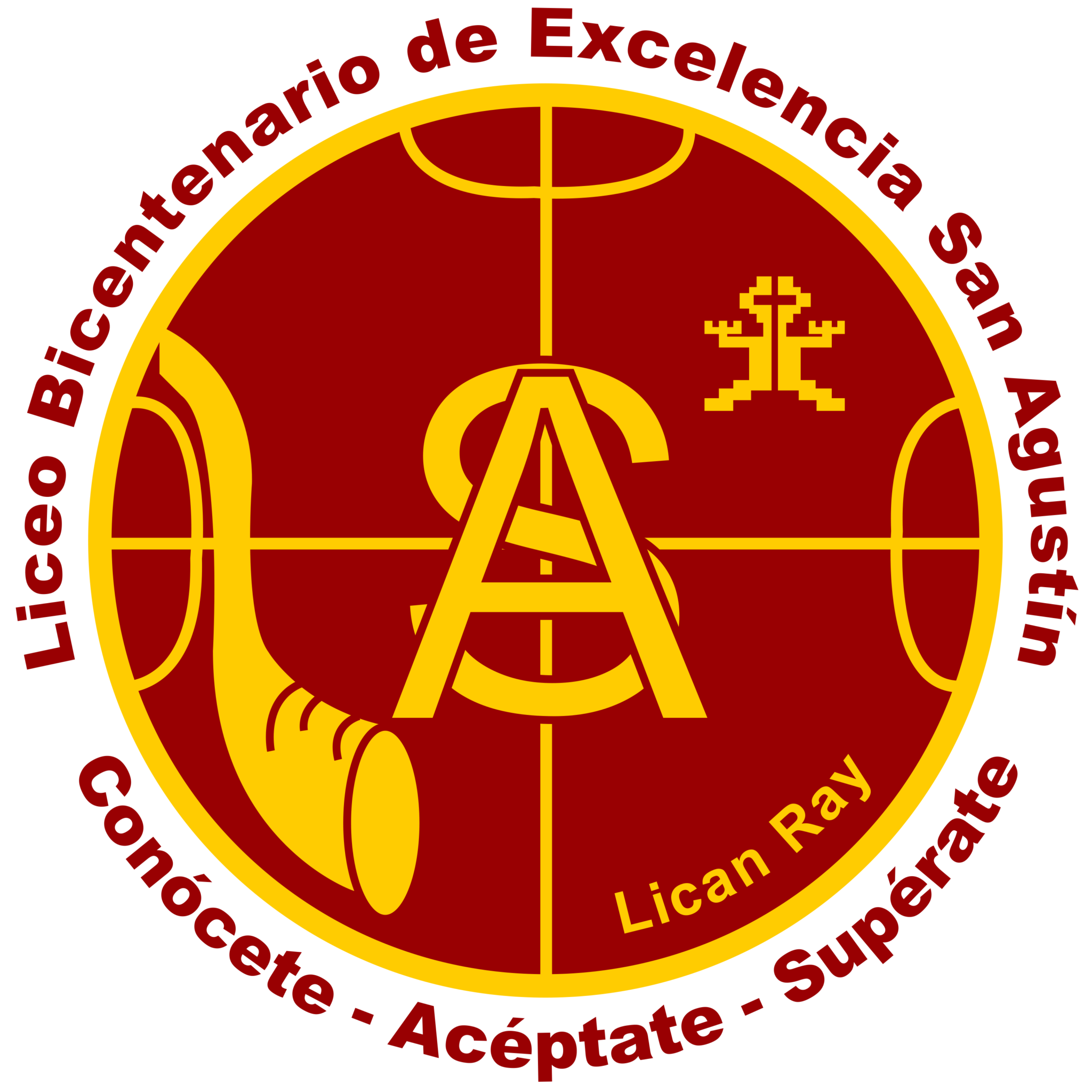 Complejo Educacional San Agustín Licán Ray